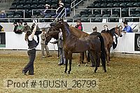 10usn_26799 thumbnail