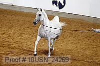 10usn_24269 thumbnail