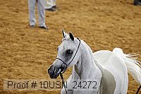 10usn_24272 thumbnail