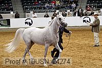 10usn_24274 thumbnail