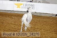 10usn_24275 thumbnail