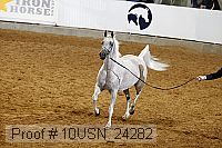 10usn_24282 thumbnail