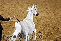 10usn_24289 thumbnail