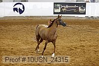 10usn_24315 thumbnail