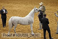 10usn_24341 thumbnail