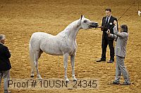 10usn_24345 thumbnail
