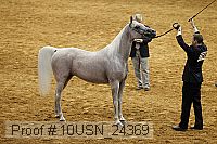 10usn_24369 thumbnail