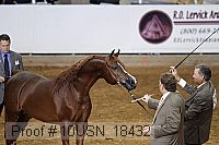 10usn_18432 thumbnail