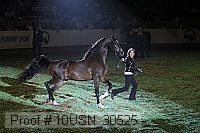 10usn_30525 thumbnail
