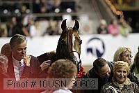 10usn_30602 thumbnail