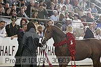 10usn_30603 thumbnail