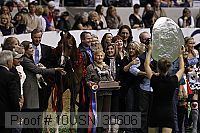 10usn_30606 thumbnail