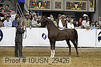 10usn_29426 thumbnail