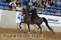 10usn_11201 thumbnail