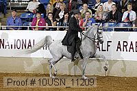 10usn_11209 thumbnail