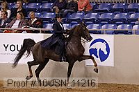 10usn_11216 thumbnail