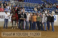 10usn_11299 thumbnail