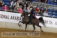 10usn_11308 thumbnail