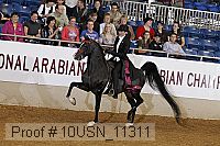 10usn_11311 thumbnail