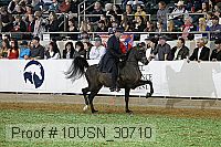 10usn_30710 thumbnail
