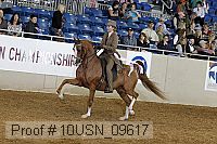 10usn_09617 thumbnail