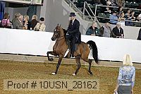 10usn_28162 thumbnail