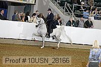 10usn_28166 thumbnail