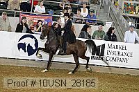10usn_28185 thumbnail