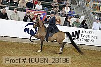 10usn_28186 thumbnail