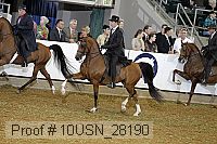 10usn_28190 thumbnail