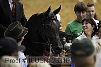 10usn_28316 thumbnail
