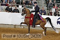 10usn_24205 thumbnail