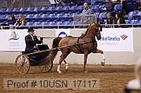 10usn_17117 thumbnail