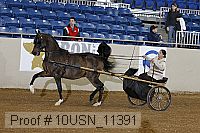 10usn_11391 thumbnail