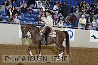 10usn_17310 thumbnail
