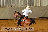 10usn_00239 thumbnail