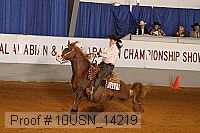 10usn_14219 thumbnail
