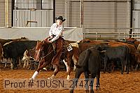 10usn_21474 thumbnail
