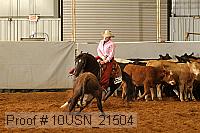10usn_21504 thumbnail