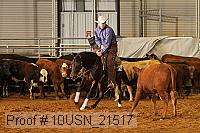 10usn_21517 thumbnail