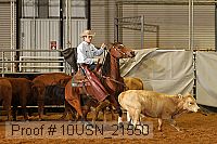 10usn_21550 thumbnail