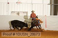 10usn_28673 thumbnail