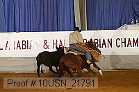 10usn_21791 thumbnail