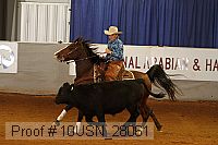 10usn_28061 thumbnail