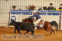 10usn_28070 thumbnail