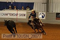 10usn_28077 thumbnail