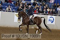 10usn_19891 thumbnail