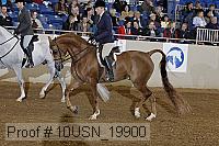 10usn_19900 thumbnail