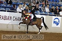 10usn_20833 thumbnail
