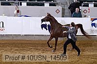 10usn_14509 thumbnail